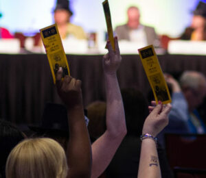 Members hold their voting cards in the air at CHF Canada's AGM.