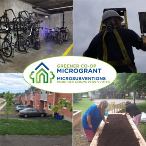 A collage of photos showing a bike rack, lights being replaced, newly planted trees, and a community garden