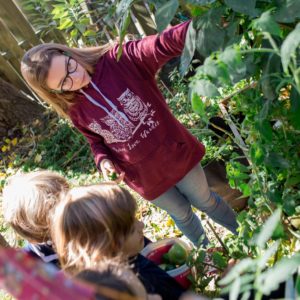 Three children work intently together in a sunny garden