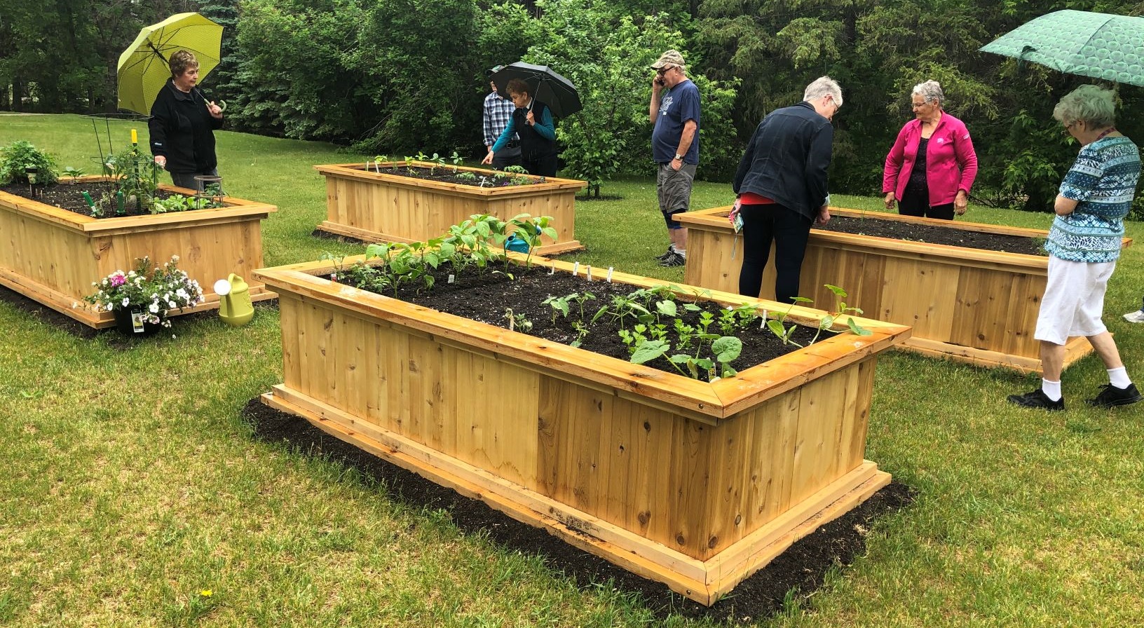 Co-op community garden becomes a community gathering place