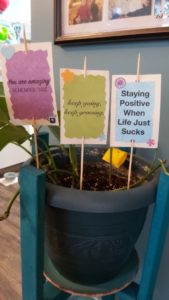 A potted plant, with three signs in it reading "You are amazing, keep going!", "Keep going, keep growing", and "Staying positive when life just sucks"