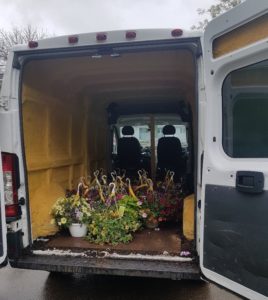 The back doors of a van, open to show that the van is full of hanging flower baskets