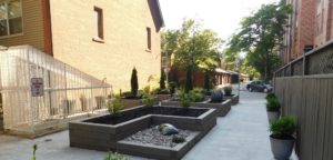 Raised garden beds in a shady walkway between buildings