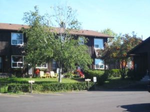 Castlegreen townhouses, with a large tree and a parking lot in the foreground