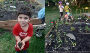 Two photos of kids gardening