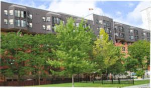 Leafy trees stand in front of a mid-rise apartment building.
