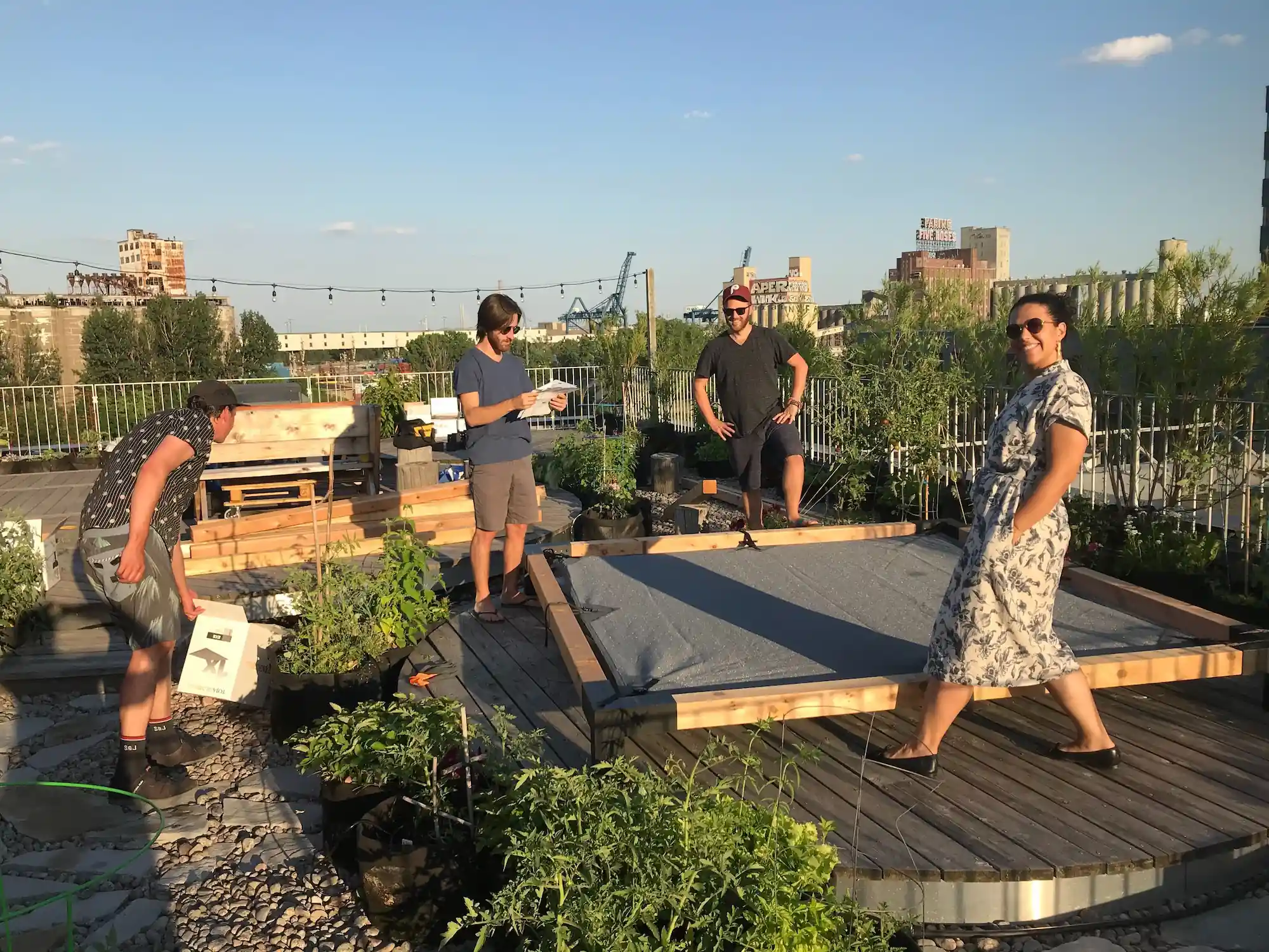 Four people stand and interact on a rooftop garden surrounded by plants and raised beds, with city buildings in the background under a clear sky—a vibrant example of co-operative housing living supported by CHF Canada.