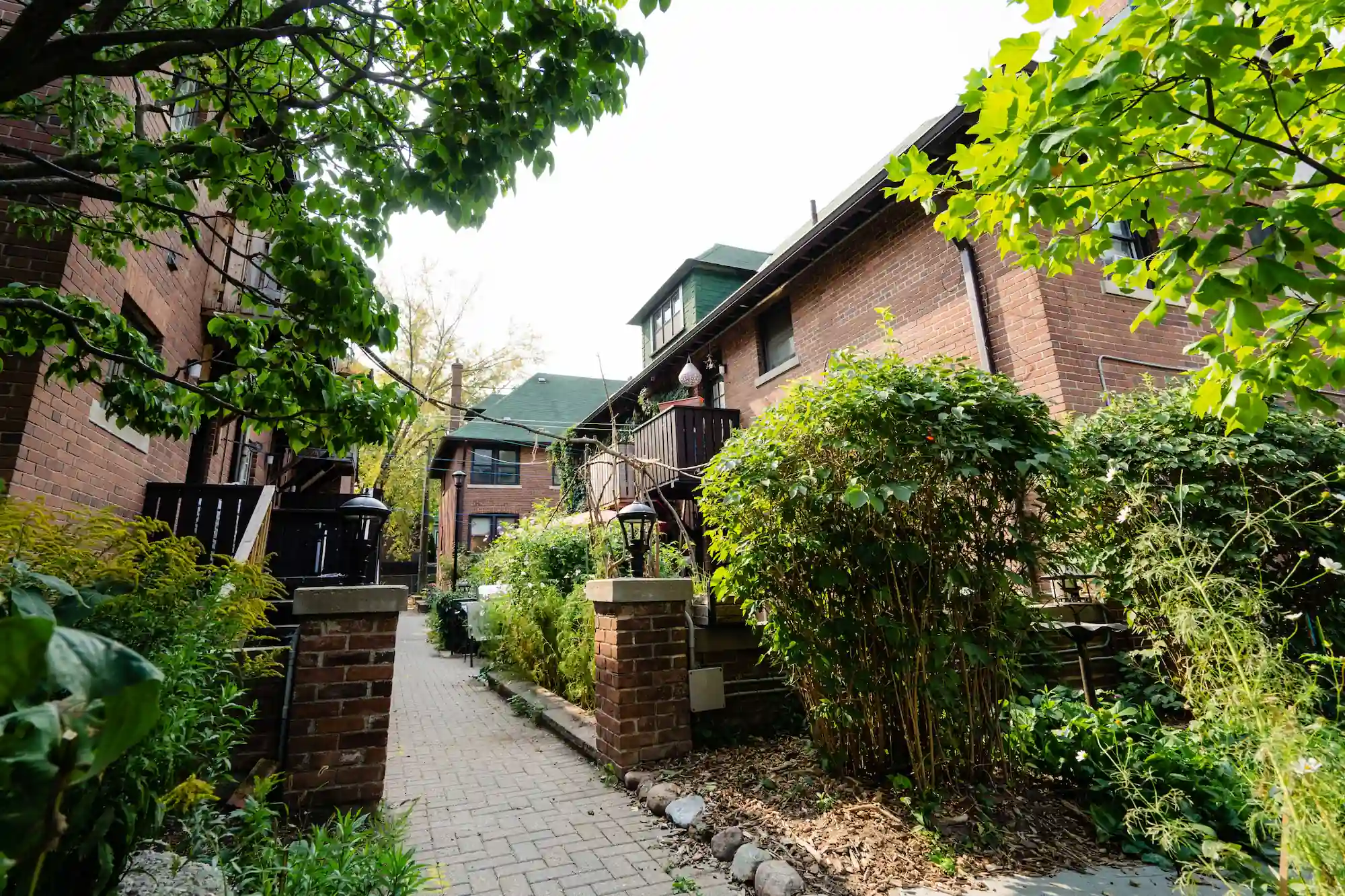 A brick pathway lined with plants and bushes leads between two brick residential buildings, showcasing the inviting atmosphere of co-operative housing on a bright day.