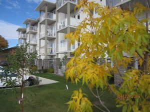 Aging in Place: Managing a seniors' housing co-op