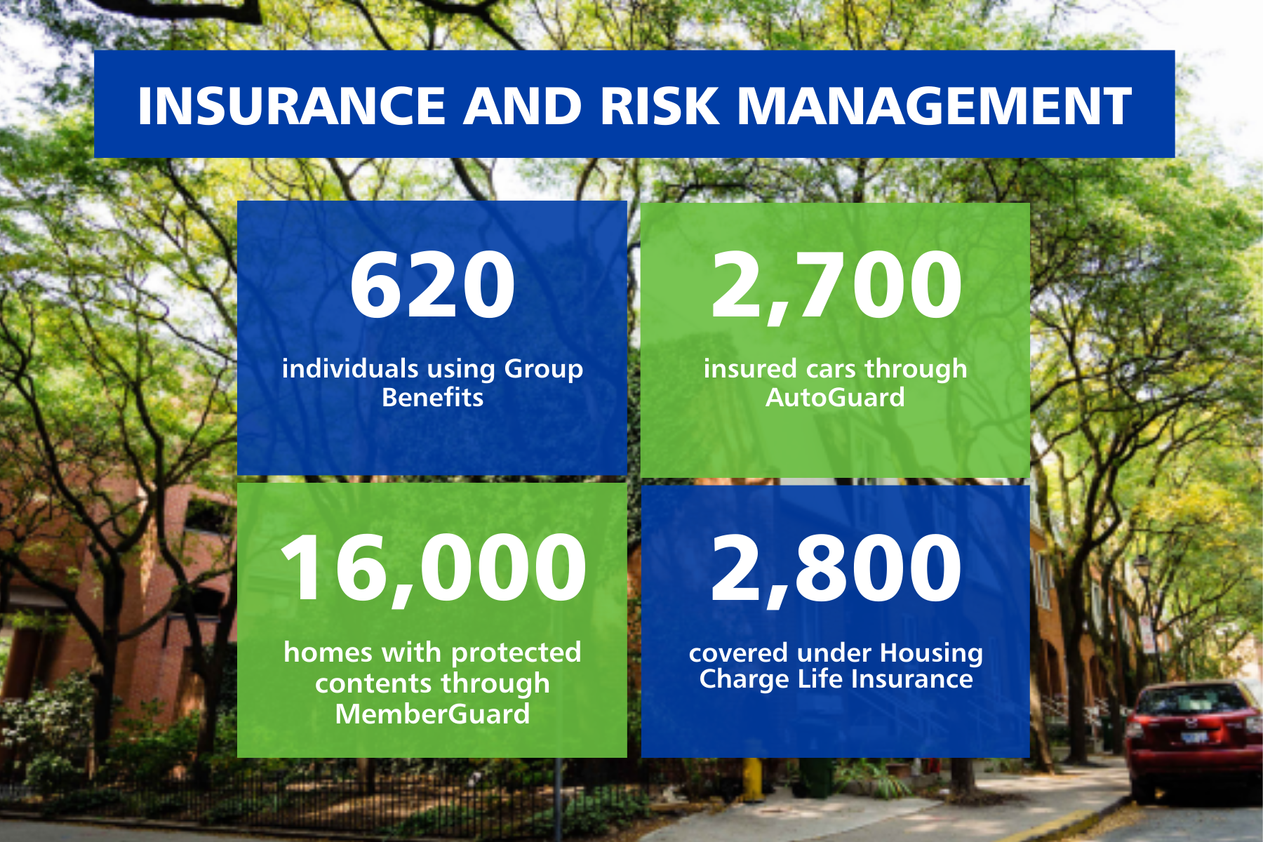 Infographic showing insurance and risk management stats: 620 on group benefits, 2,700 insured cars, 16,000 protected homes, and 2,800 covered under co-operative housing life insurance with CHF Canada.